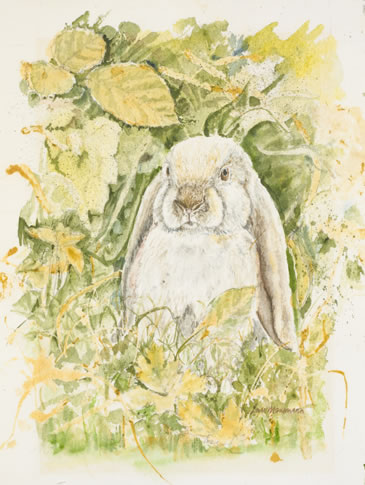 print Bunny
